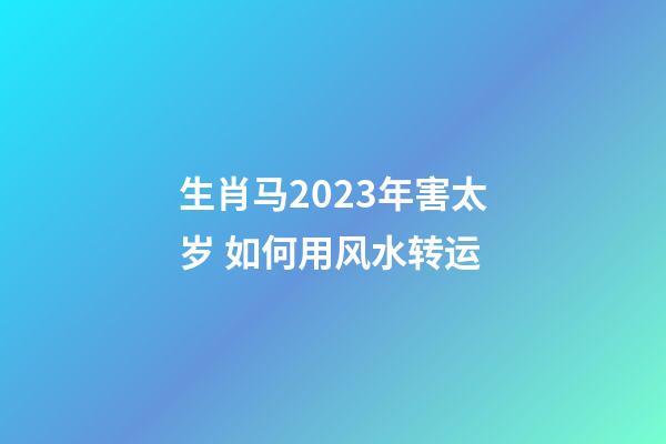 生肖马2023年害太岁 如何用风水转运